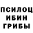 Галлюциногенные грибы Psilocybine cubensis Thalis Costa