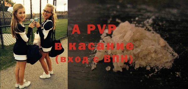 гашик Беломорск