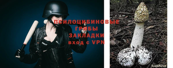 гашик Беломорск